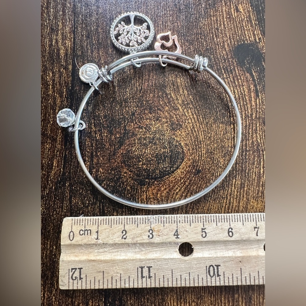 Silver Charm Bracelet 🌳✨🙌🏼 - Picture 3 of 4